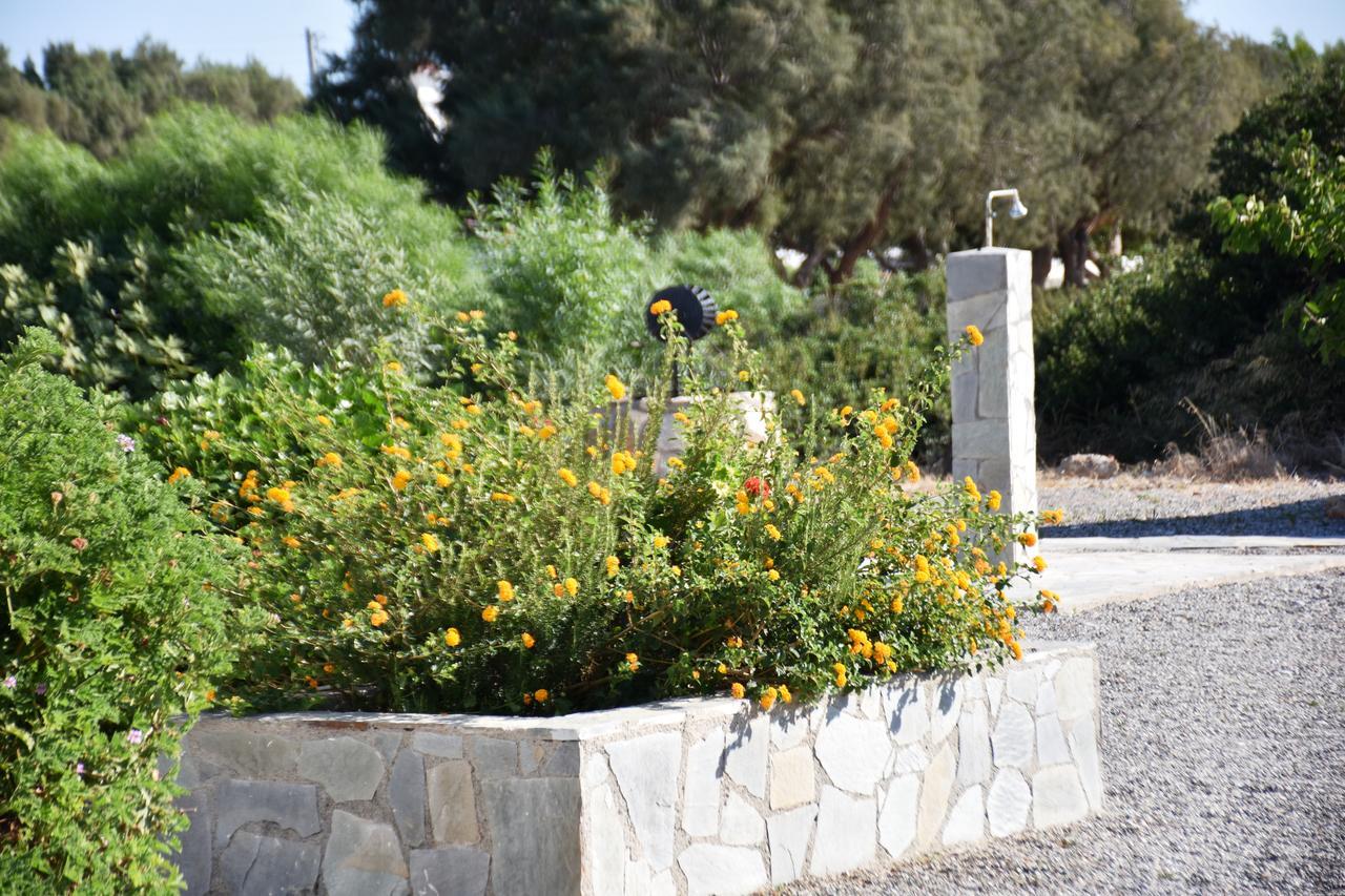 Kiotari Beach Apartments מראה חיצוני תמונה